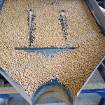 Пеллеты гранулированные - Деревянные погонажные изделия, интернет-магазин "Лесная лавка",  Екатеринбург