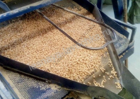 Пеллеты сосновые (гранулы сосновые)